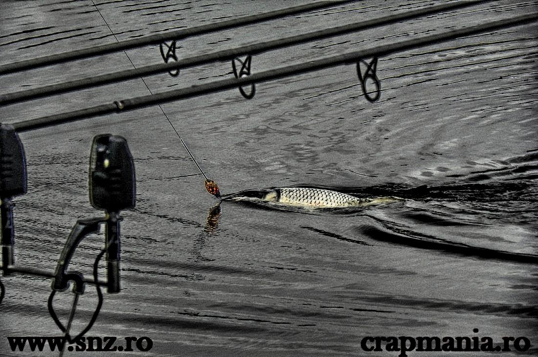 Cupa Iernii 2013 (2) - 1032355hdrmode2.jpg